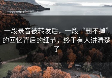一段录音被转发后，一段“删不掉”的回忆背后的细节，终于有人讲清楚了