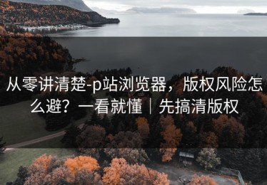 从零讲清楚-p站浏览器，版权风险怎么避？一看就懂｜先搞清版权
