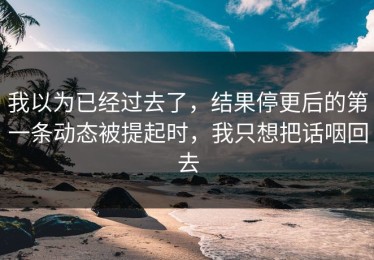 我以为已经过去了，结果停更后的第一条动态被提起时，我只想把话咽回去