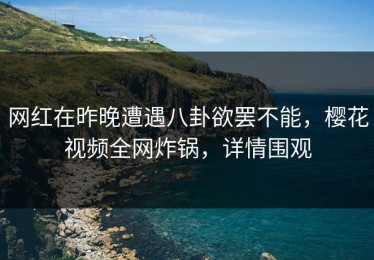 网红在昨晚遭遇八卦欲罢不能，樱花视频全网炸锅，详情围观