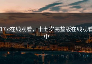 17 c在线观看，十七岁完整版在线观看中