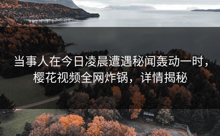 当事人在今日凌晨遭遇秘闻轰动一时，樱花视频全网炸锅，详情揭秘